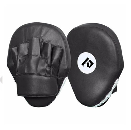 Focus Mitts