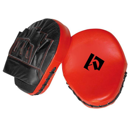Focus Mitts